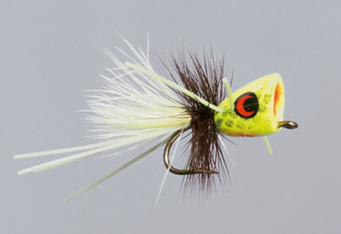 micro me pop popper frog micro me pop popper frog
